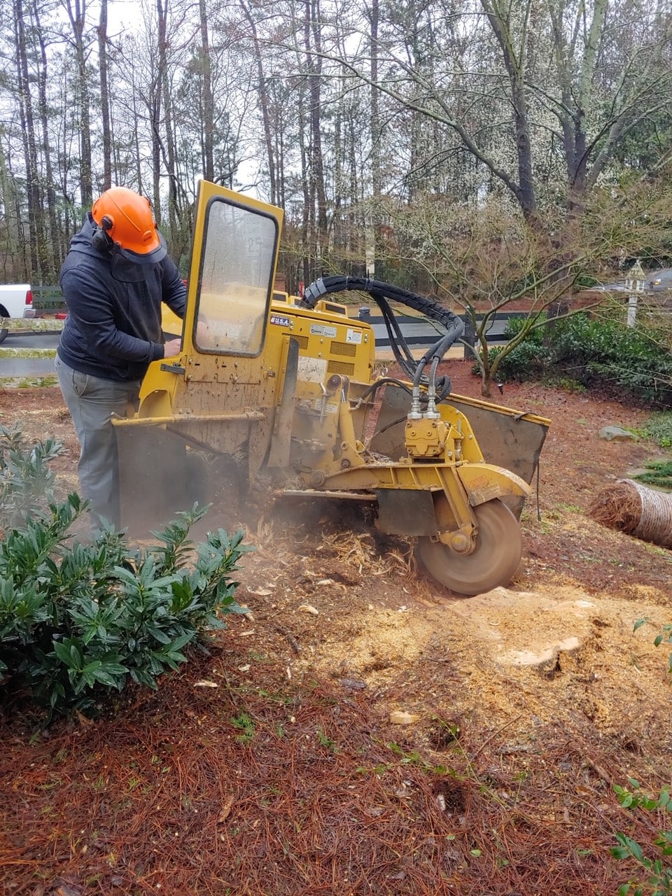 Stump Grinding North Metro Atlanta