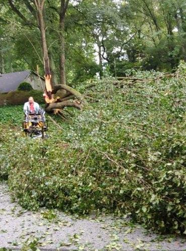 Fallen Tree, Emergency Tree, Removal-Insurance Claim