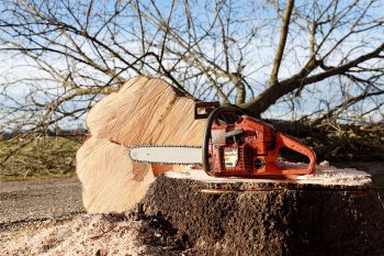 Tree Removal in Tucker GA