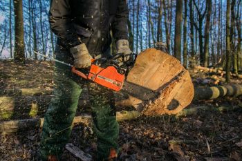 Tree Cutters Milton Georgia, Tree Trimming Milton Georgia