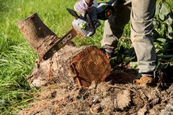 Tree Removal in Vinings GA