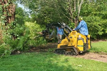 Fallen Tree, Emergency Tree, Removal-Insurance Claim Acworth GA