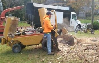 Stump Grinding Brookhaven GA