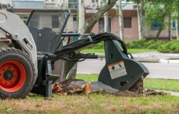 Stump Grinding Vinings GA