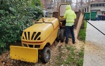 Stump Grinding Chamblee GA