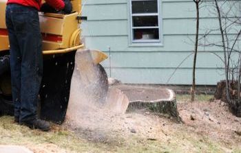 Stump Grinding Tucker GA