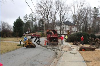 Tree Trimming Peachtree Corners GA