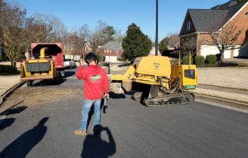 Tree Service in Suwanee GA