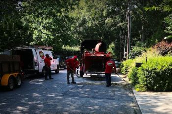 Tree Service in Decatur GA