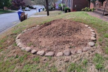 Stump Grinding Decatur GA