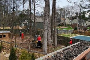 Tree Service in Kennesaw GA