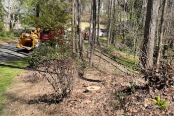 Stump Grinding Kennesaw GA