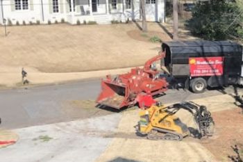 Stump Grinding North Druid Hills GA